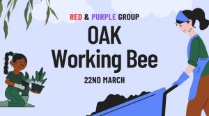 OAK working bee 22 march